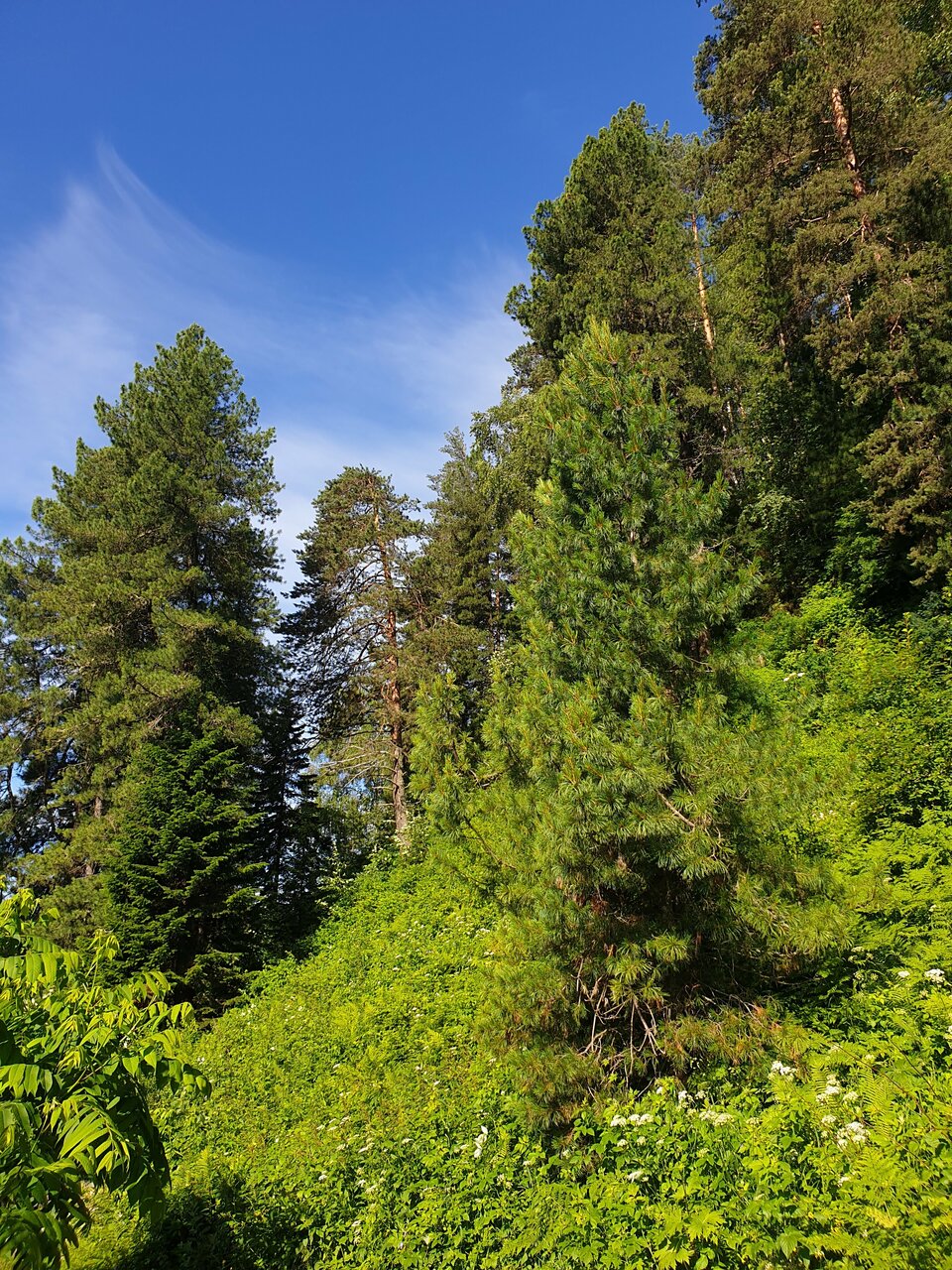 Апартаменты Усадьба в горах Артыбаш-237