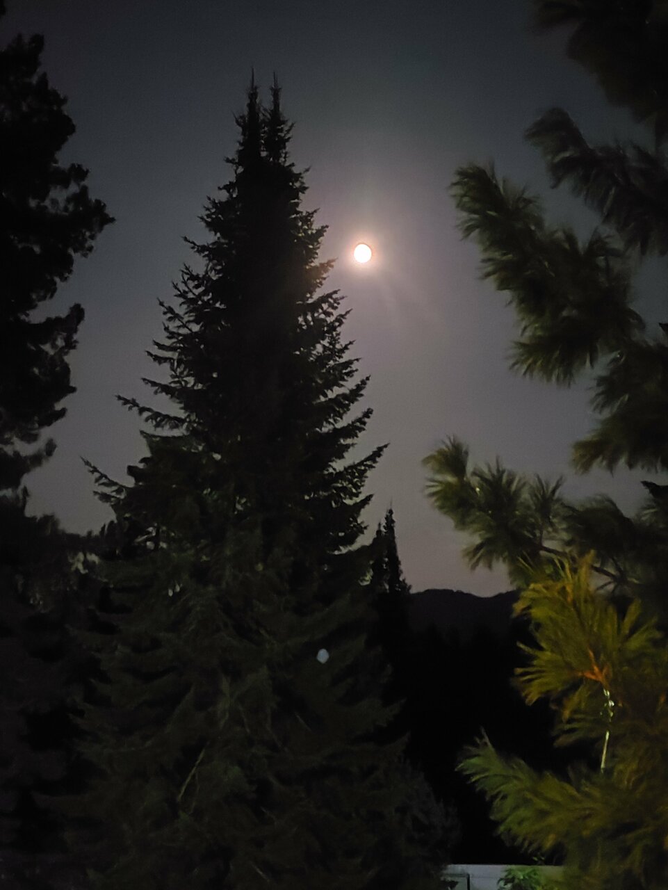 Апартаменты Усадьба в горах Артыбаш-216