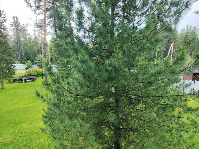 Апартаменты Усадьба в горах Артыбаш-191