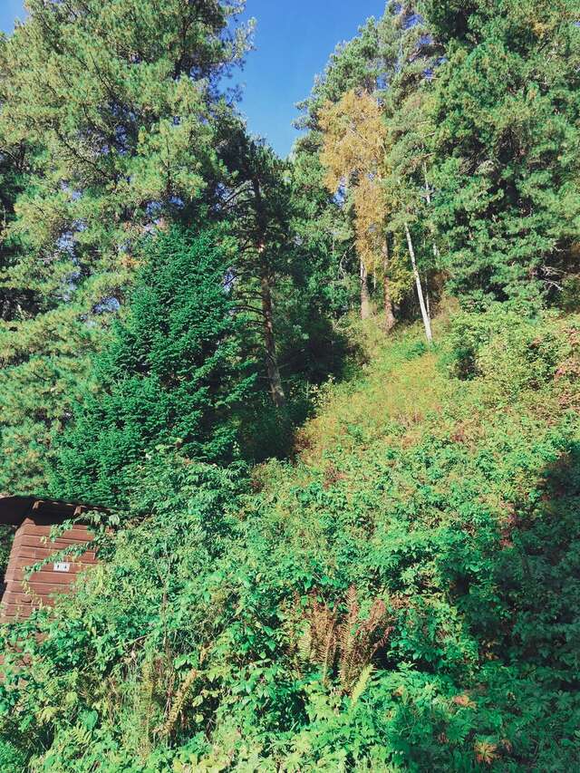 Апартаменты Усадьба в горах Артыбаш-220