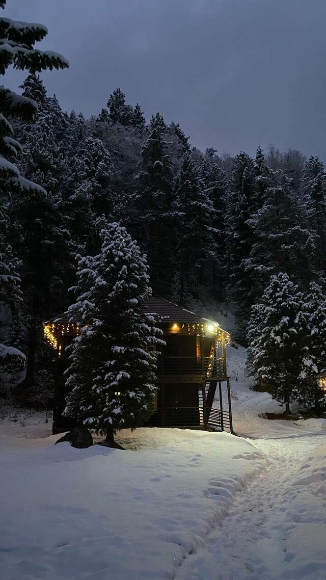 Апартаменты Усадьба в горах Артыбаш-201