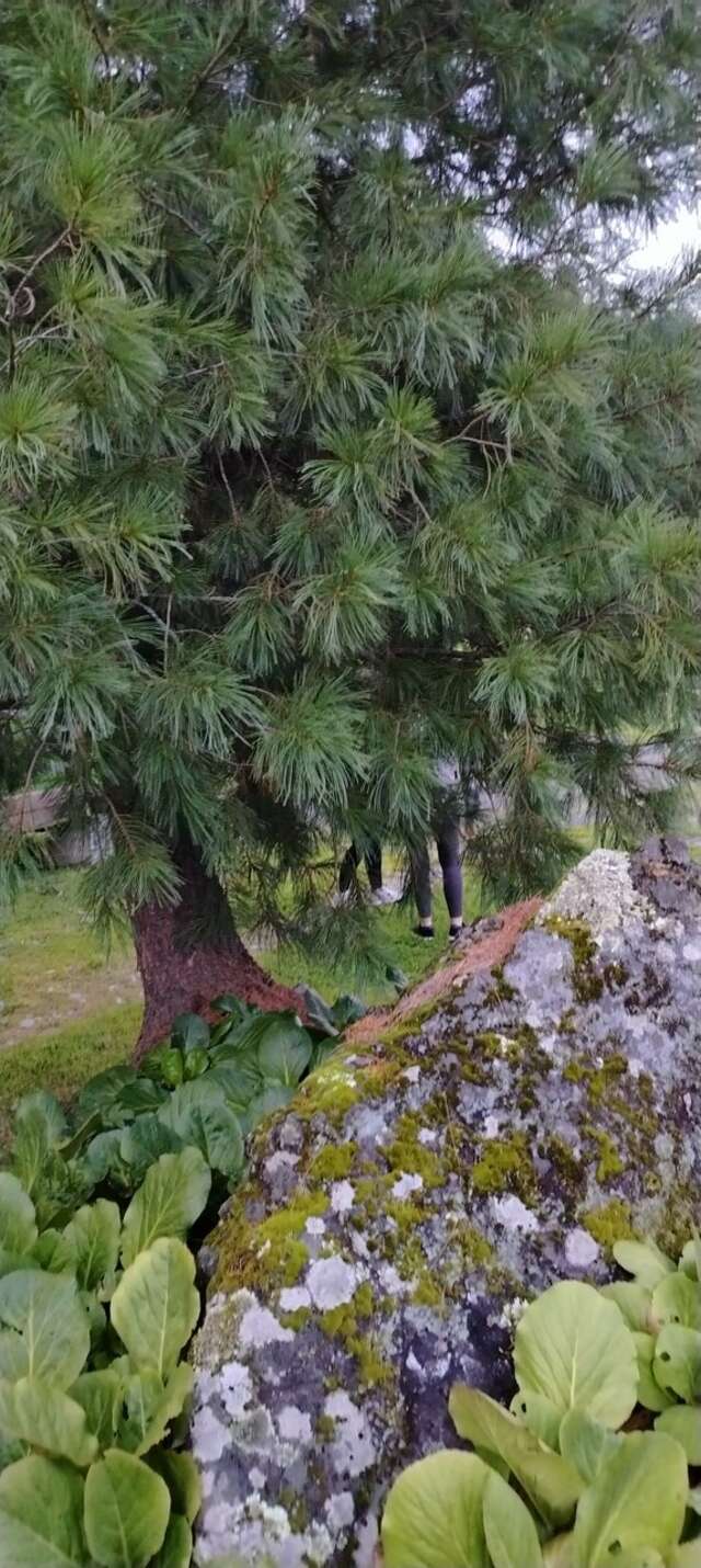 Апартаменты Усадьба в горах Артыбаш-204