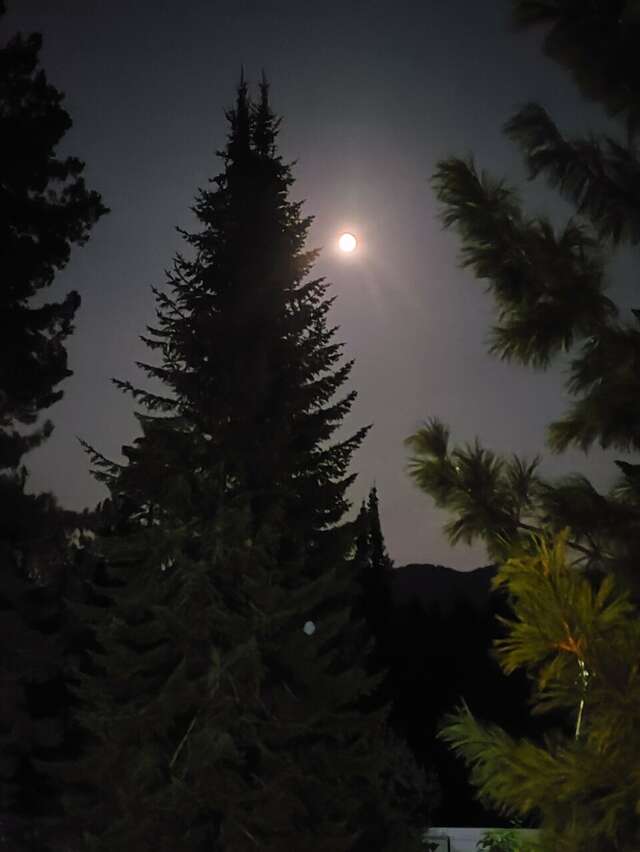 Апартаменты Усадьба в горах Артыбаш-215